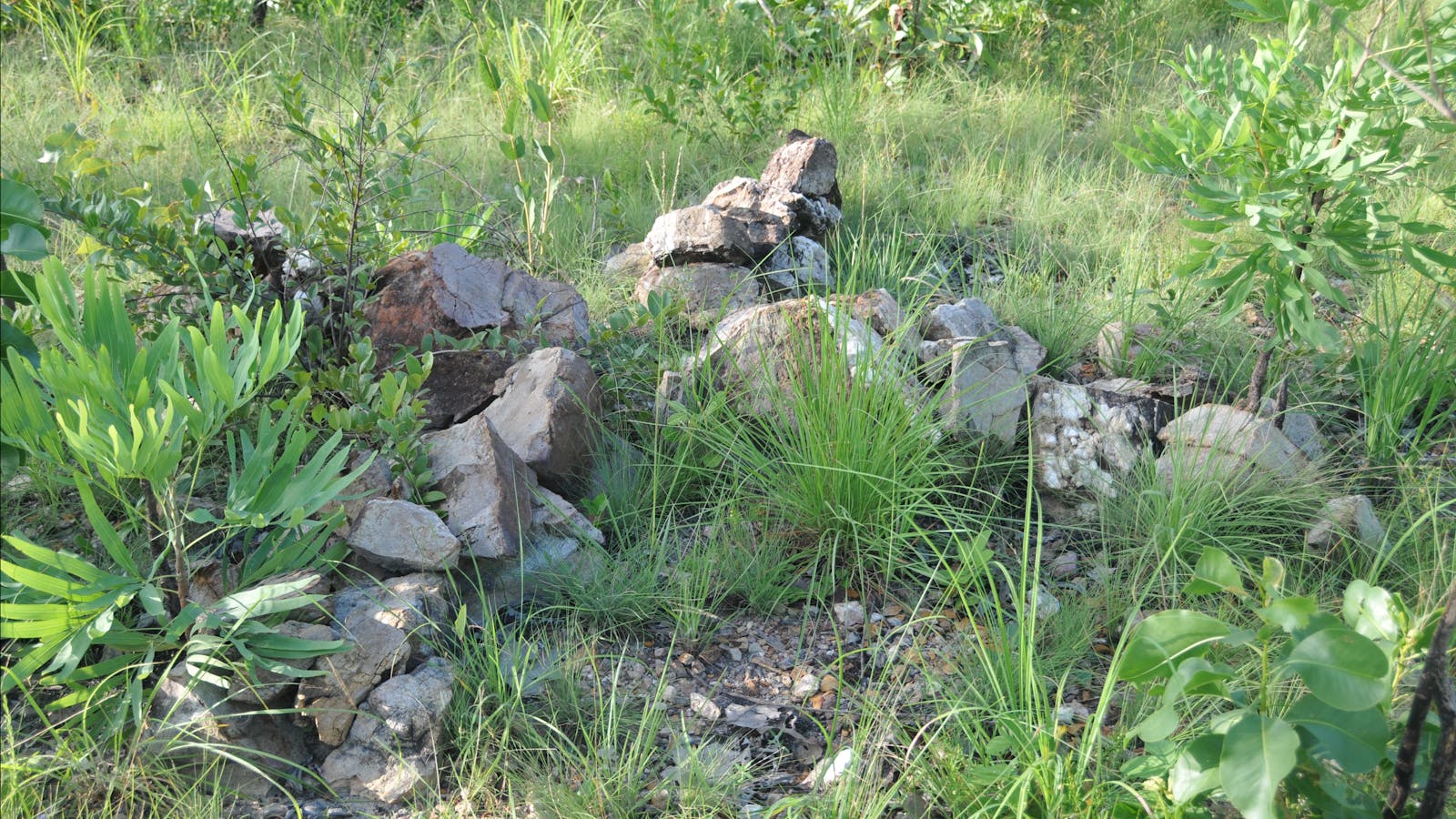 Virginia Town site 1869 Survey Markers