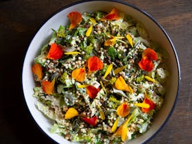 Elementary salad by AK Window