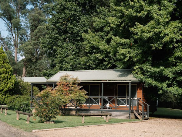 Harrietville Cabins surrounded by Gum trees