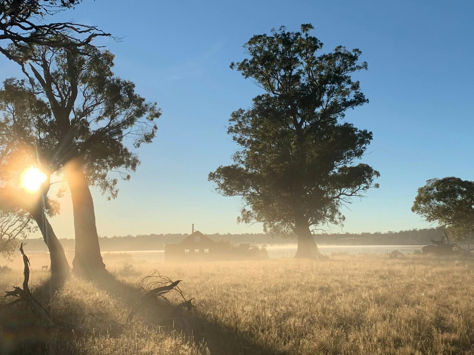 Morning light