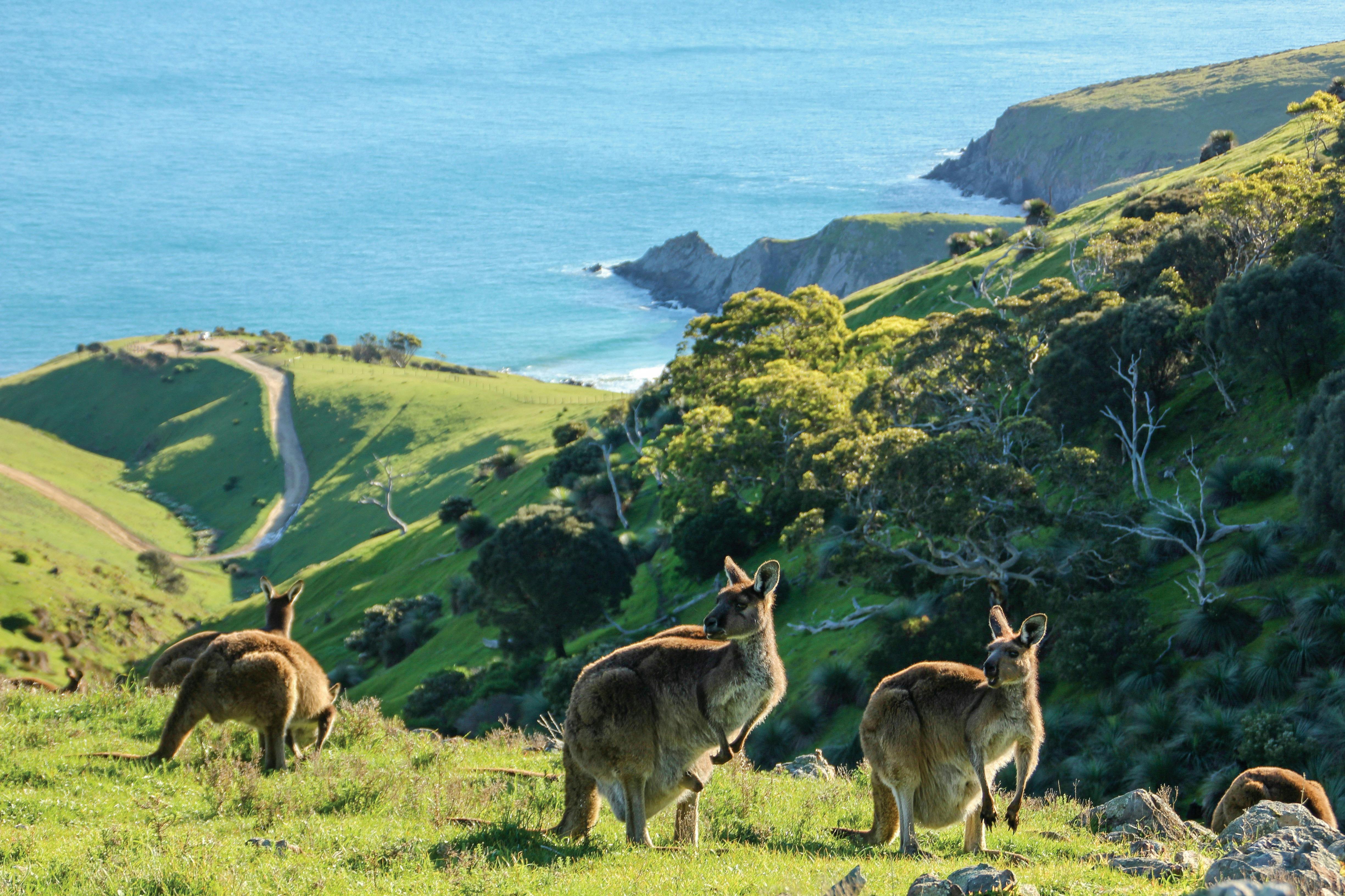 Have your cameras ready. The wildlife is everywhere