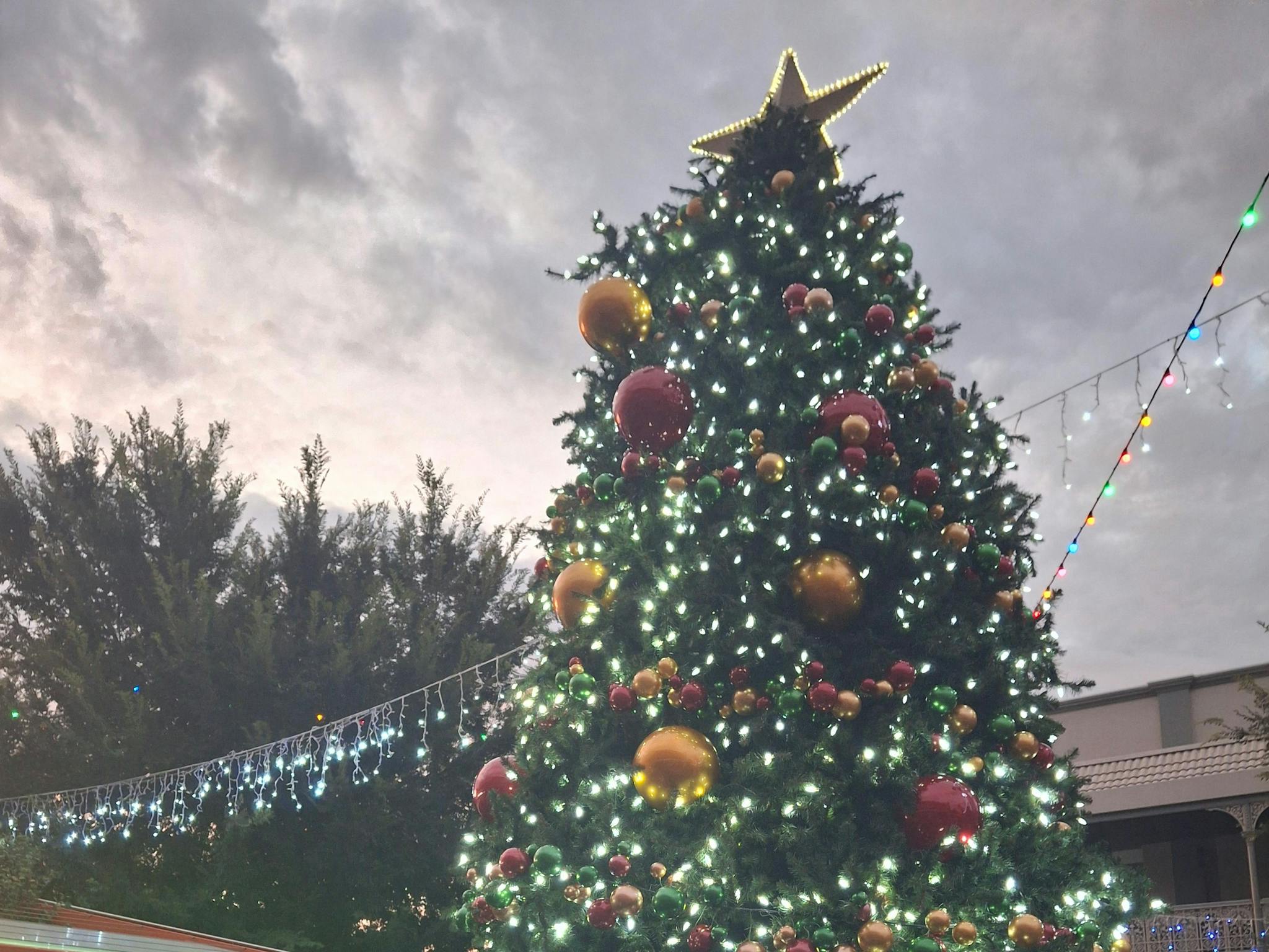 Baiada Carols in the Park