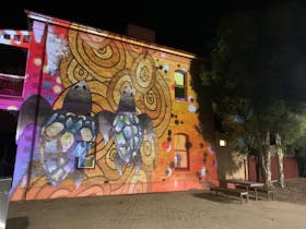 City Park Projection