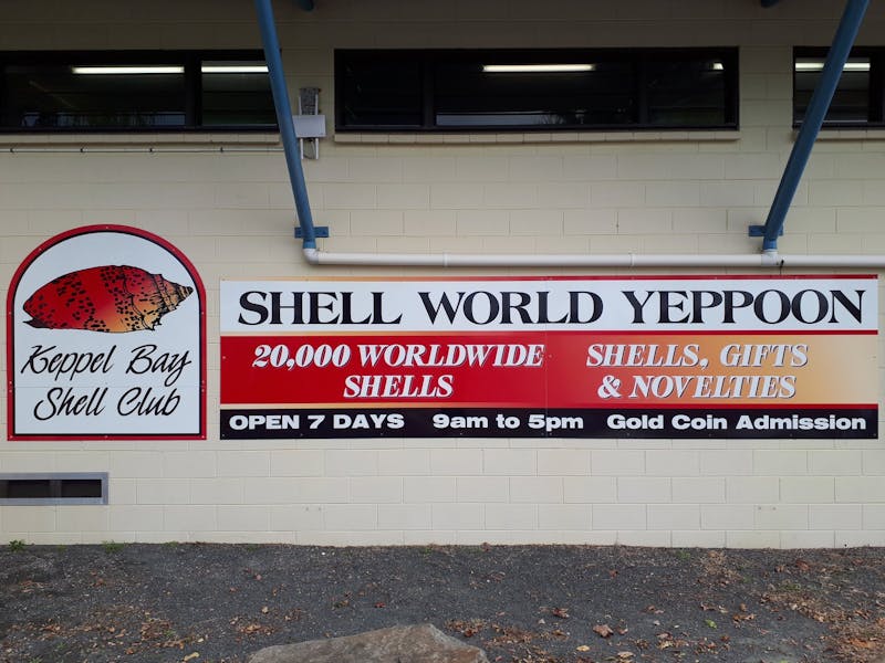 Shell World Yeppoon - Visit Capricorn Coast - Southern Great Barrier Reef