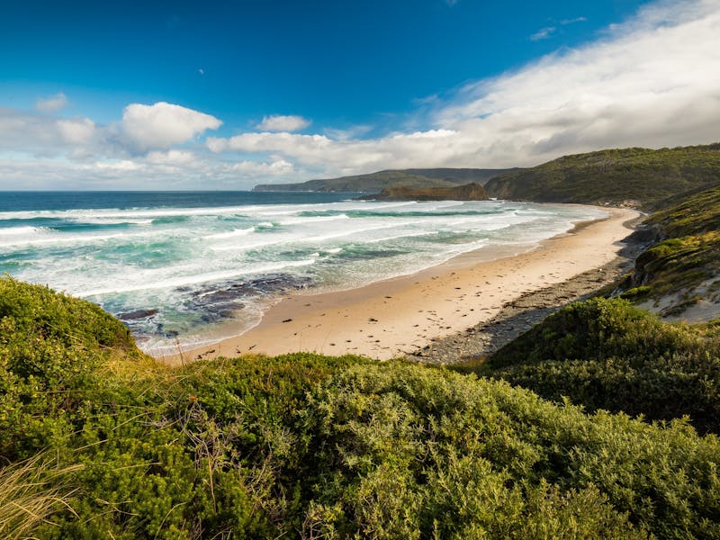 Cockle Creek Camping