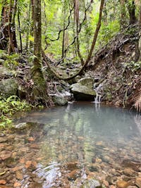 A peaceful rainforest watering hole at Mist fresh mountain water and lush greenery = rainforest