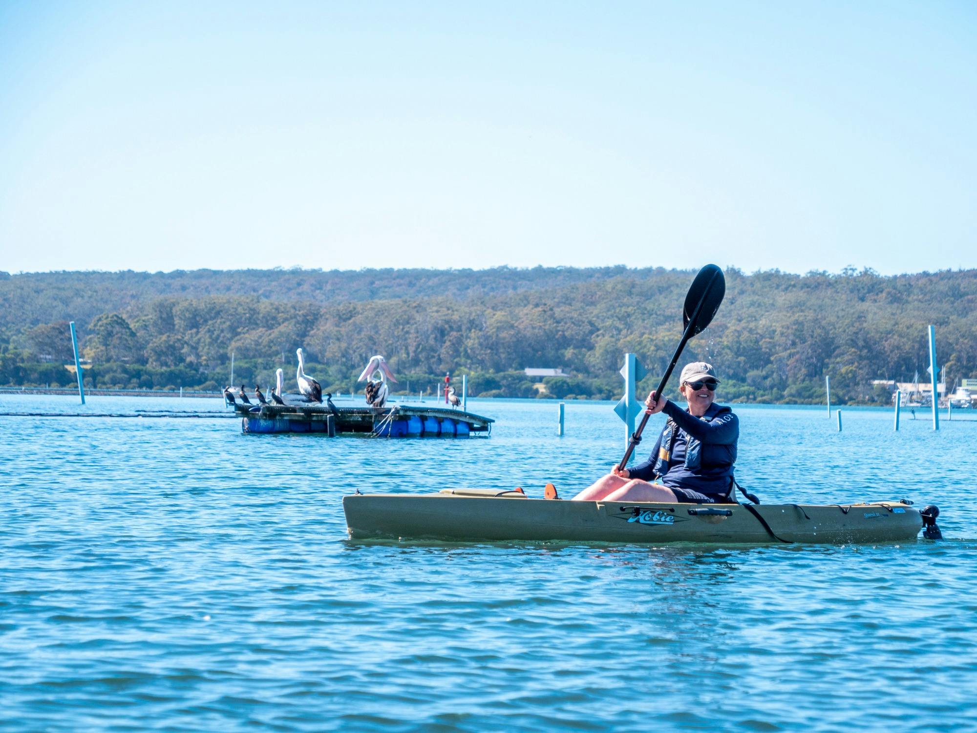 Guest Kayaking with Pelicans in background