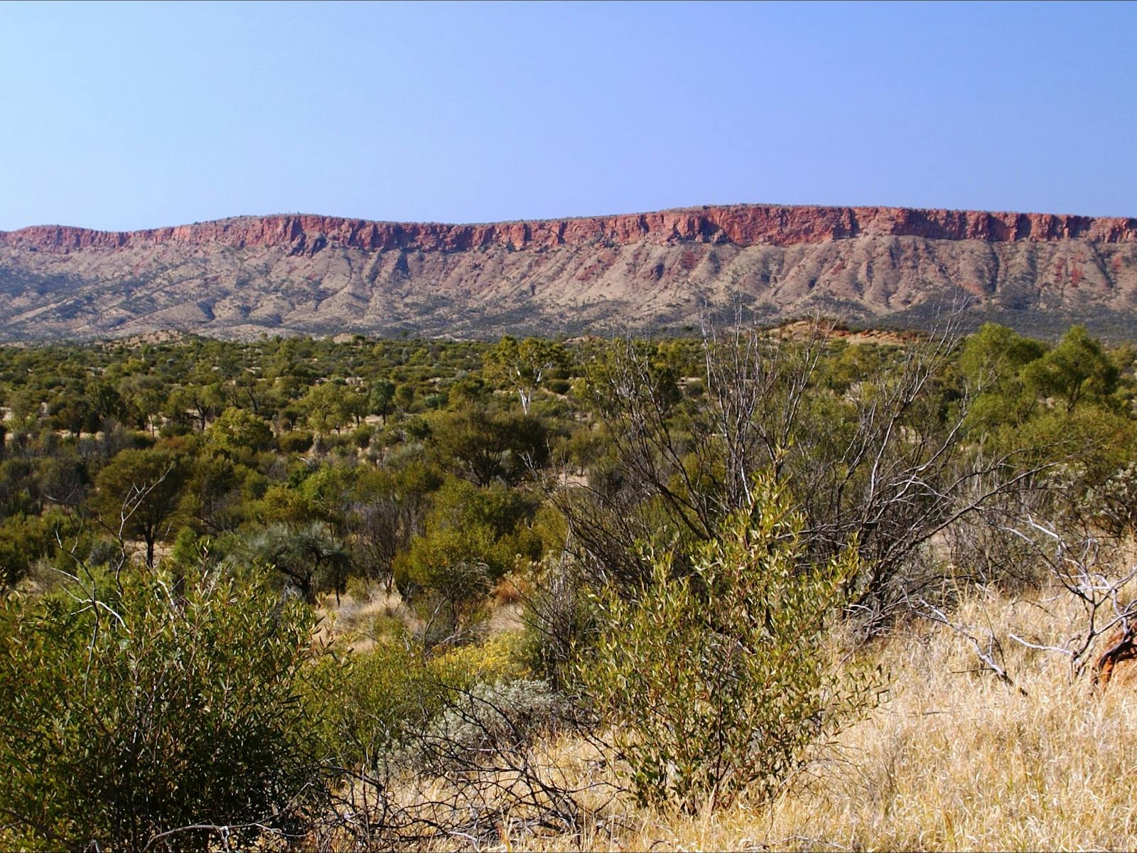 Larapinta Trail