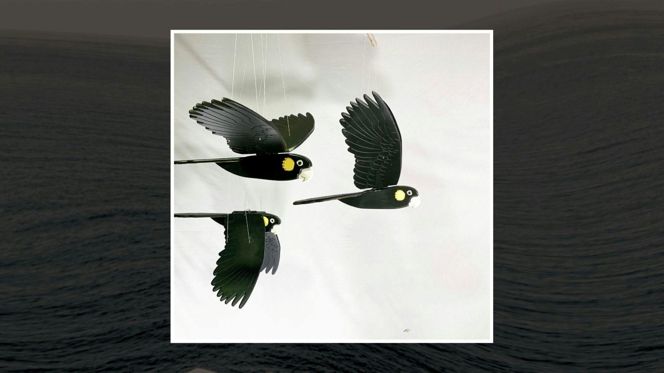 Cockatoo Mobiles Hanging from the ceiling, three of them