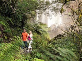 Gourmet Country Escape - Brisbane to Stanthorpe and Toowoomba