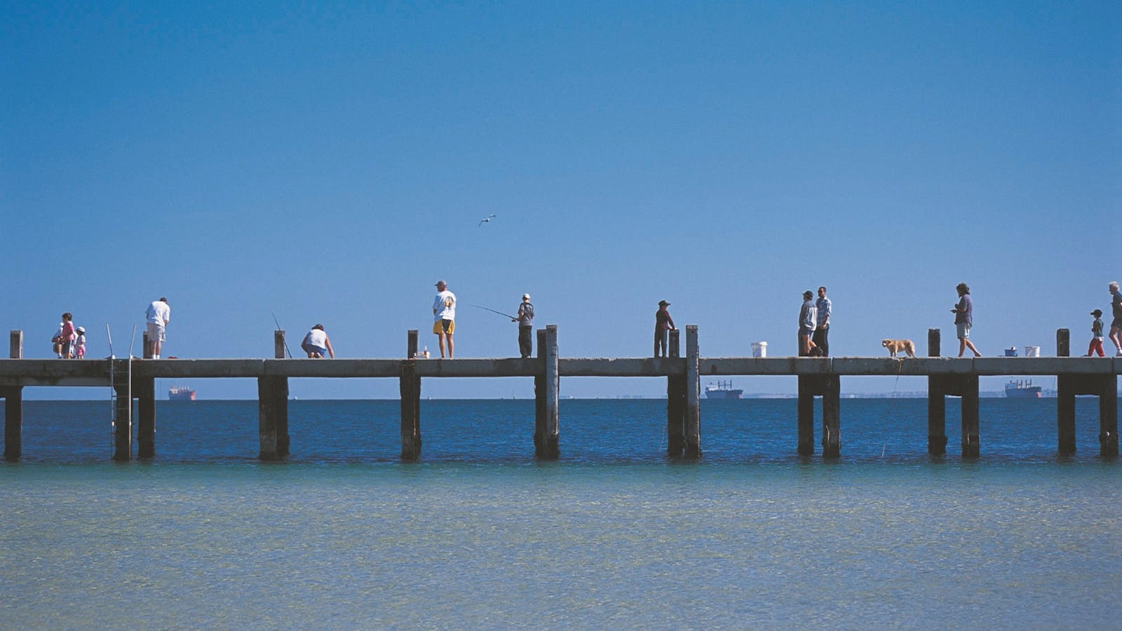 Rockingham Jetty