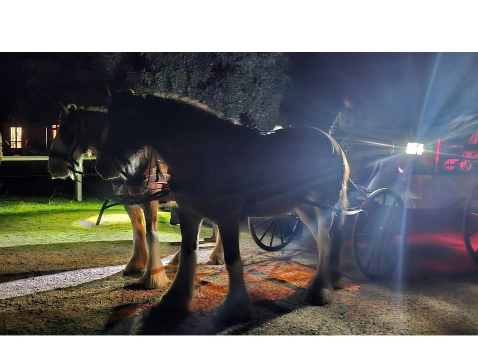 Horse Drawn Dark History Tour