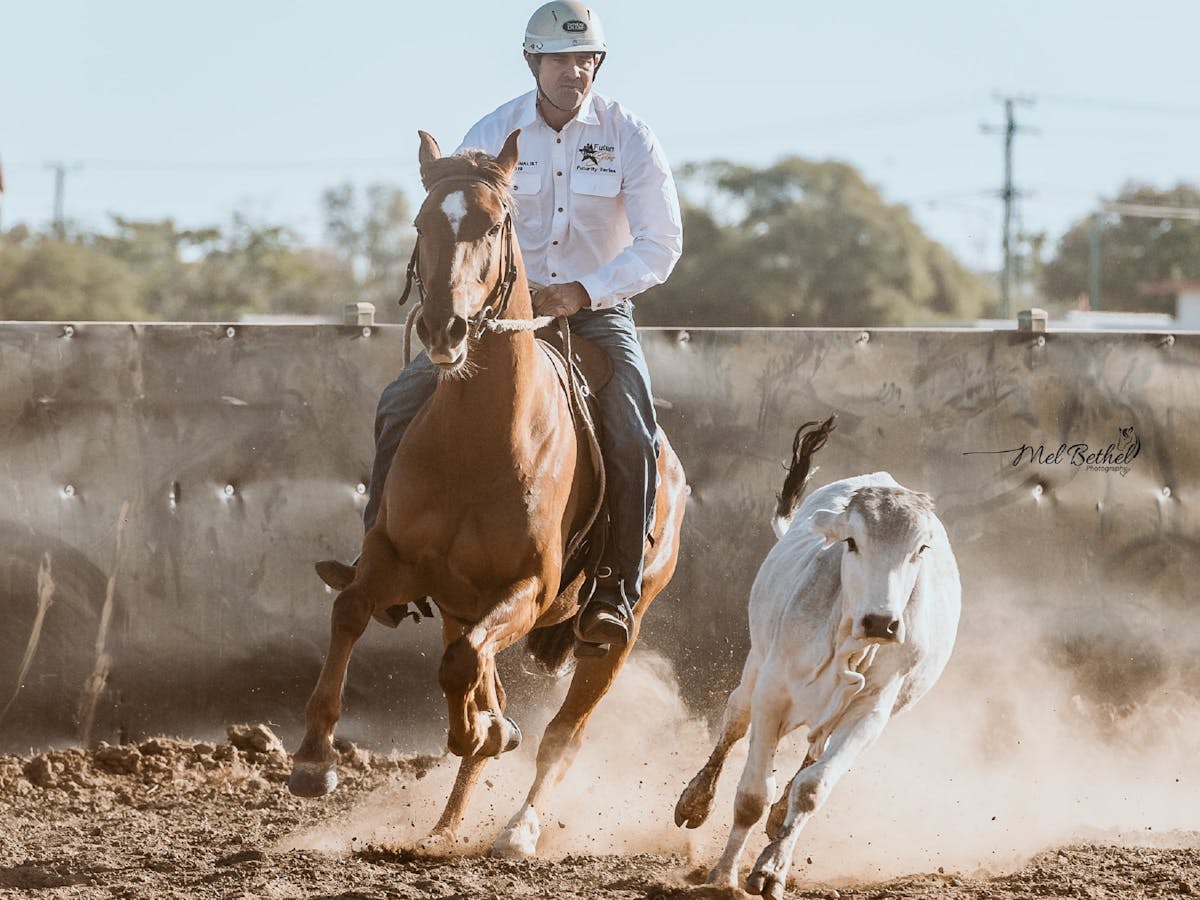 Campdraft