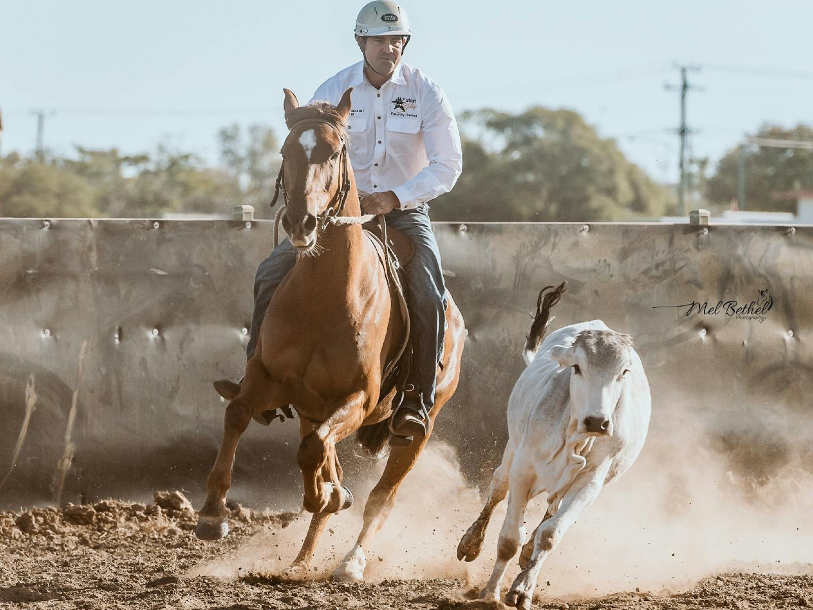 Image for Hughenden Campdraft