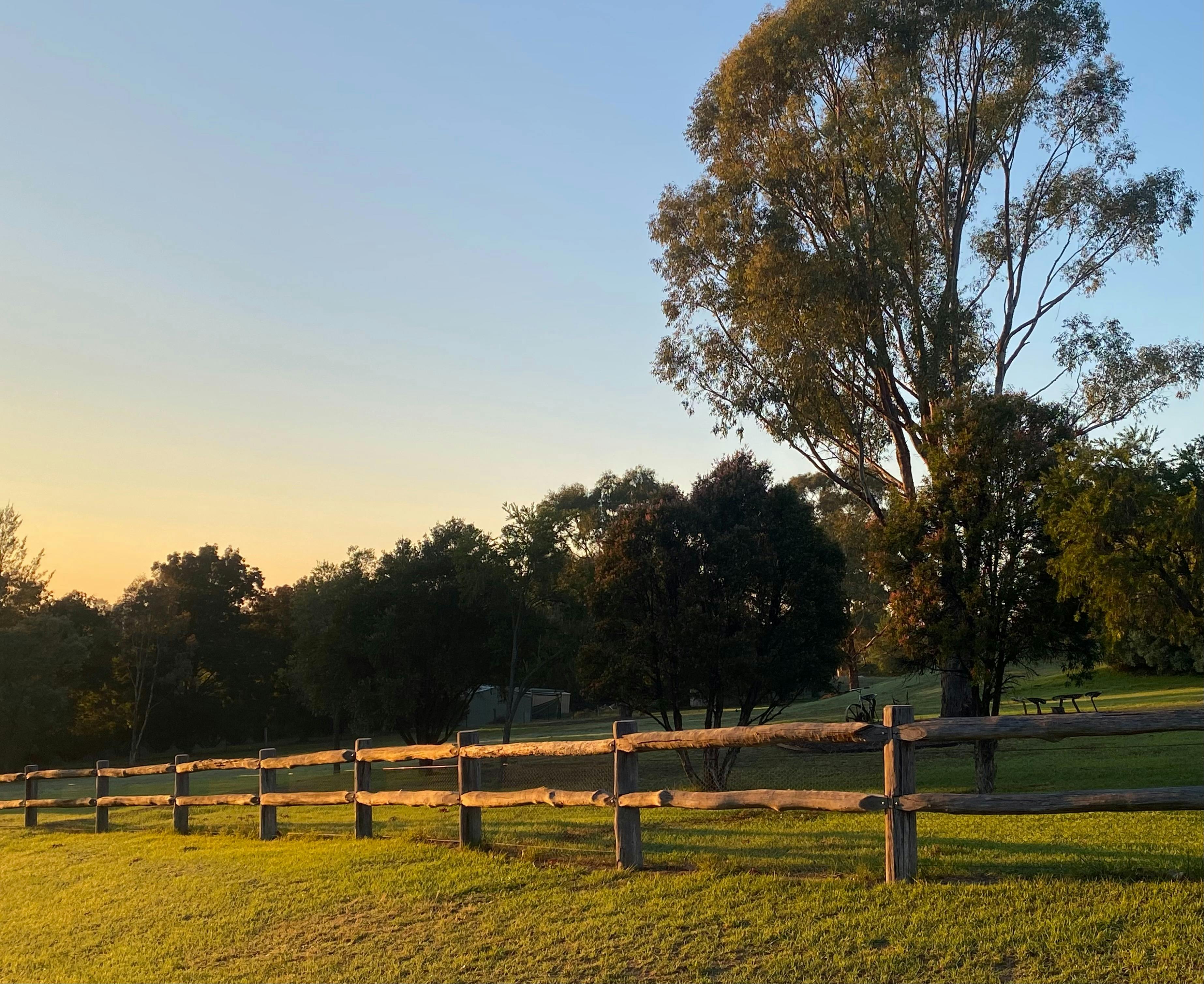 front fence in morning light