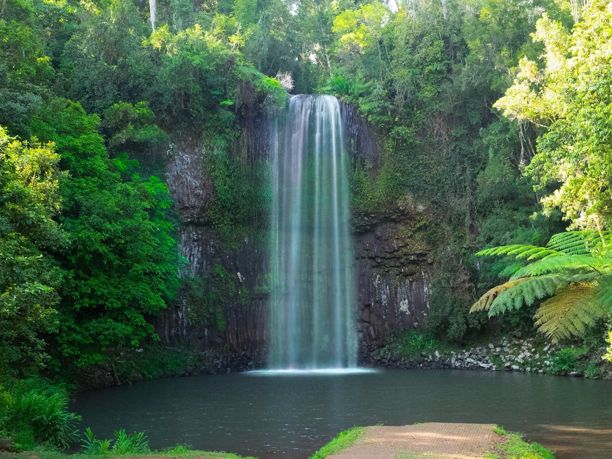 Millaa Millaa Falls