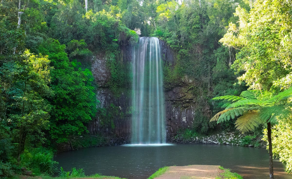 Millaa Millaa Falls