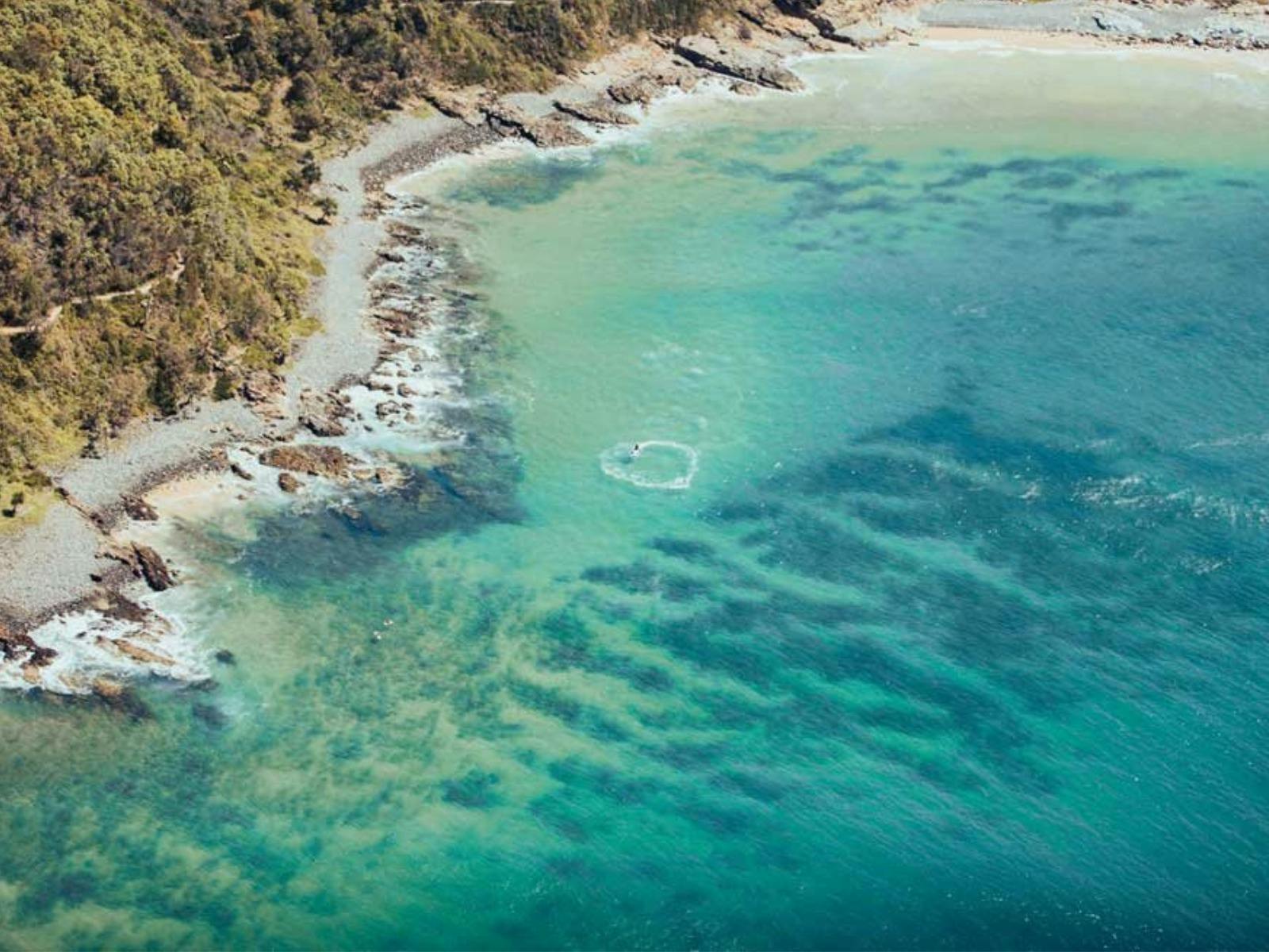 Noosa Helicopter Rides