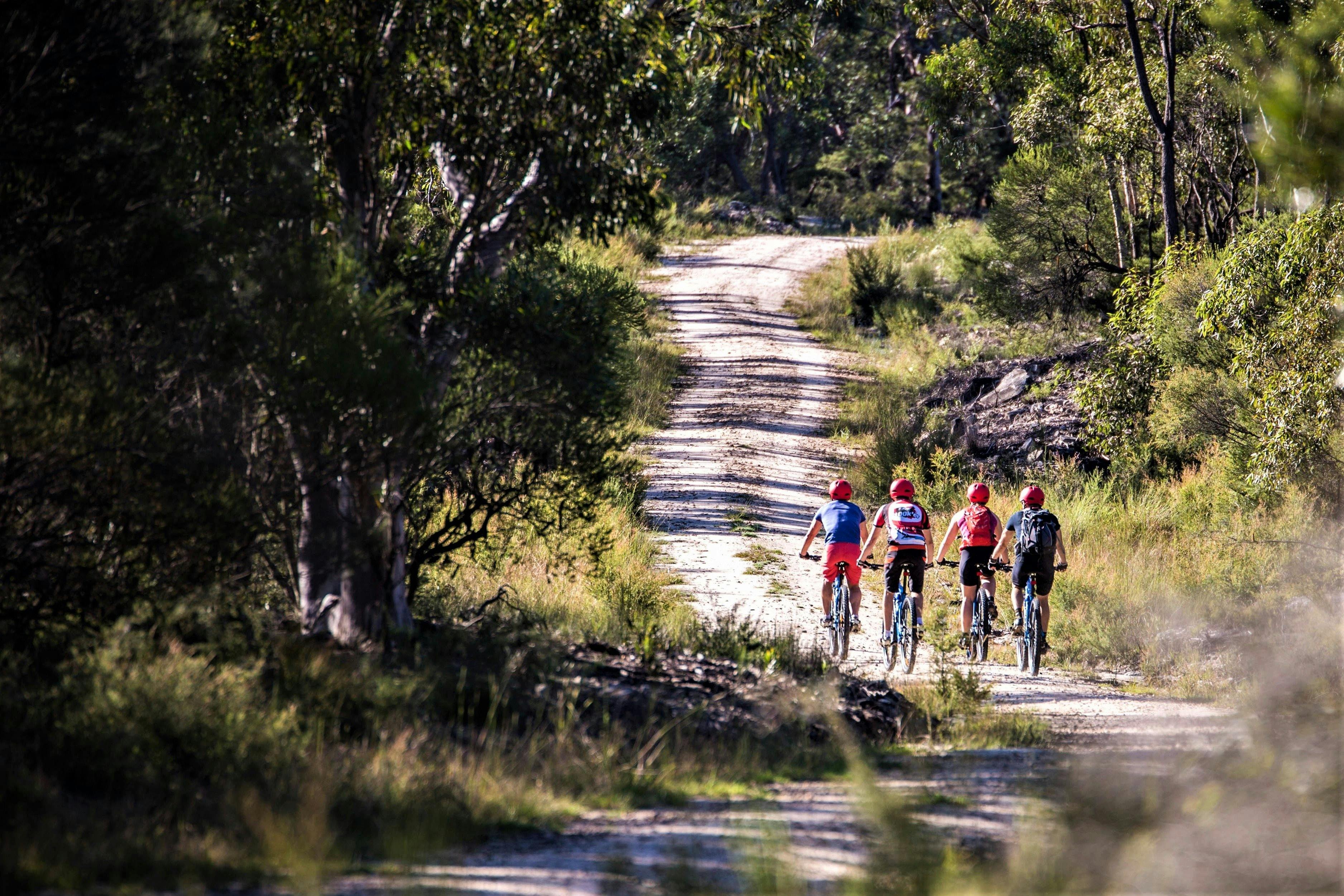 Blue Mountains Bike Hire