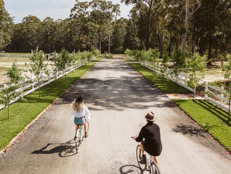 Free bicycle hire with accommodation bookings, ride around 40 acres of beauty