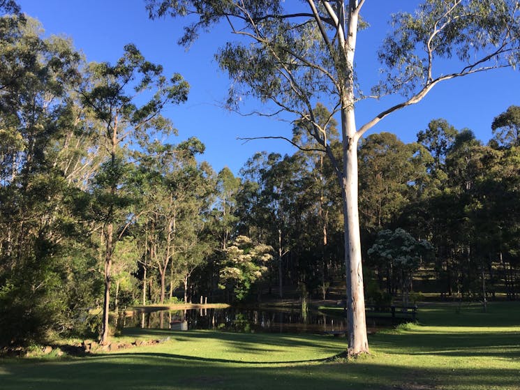 View of gardens