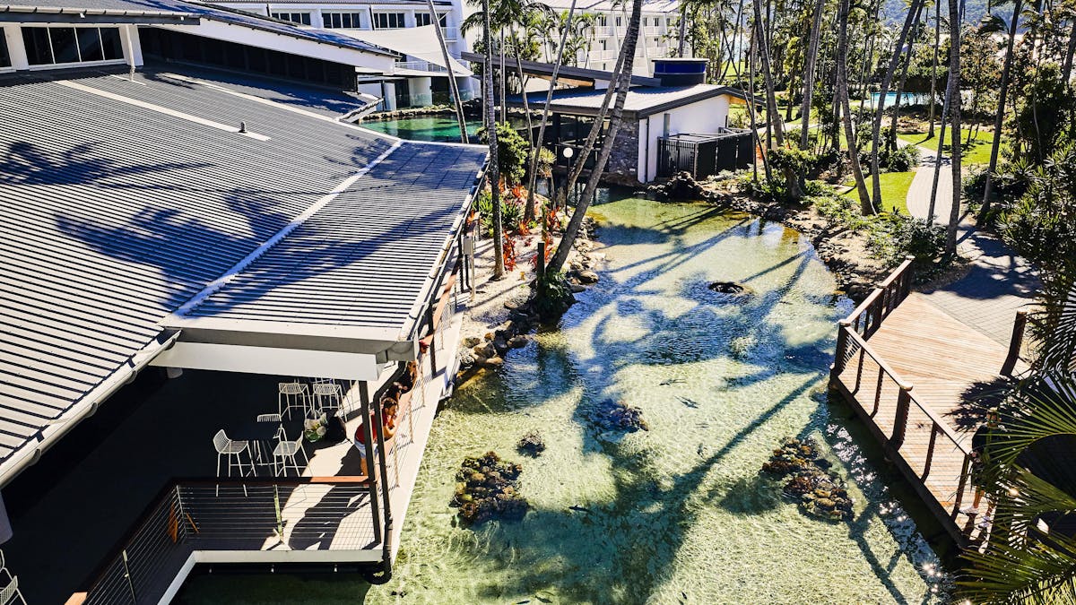Living Reef