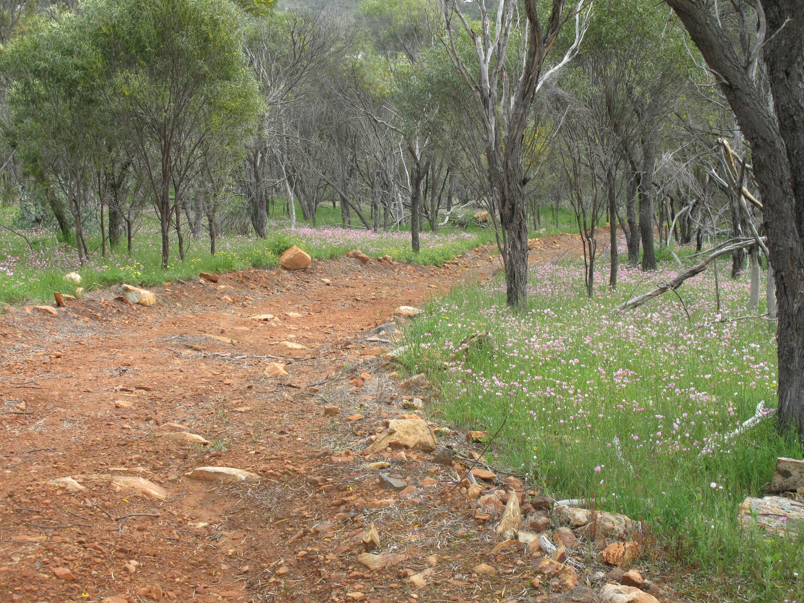 Pelham Reserve, Toodyay, Western Australia