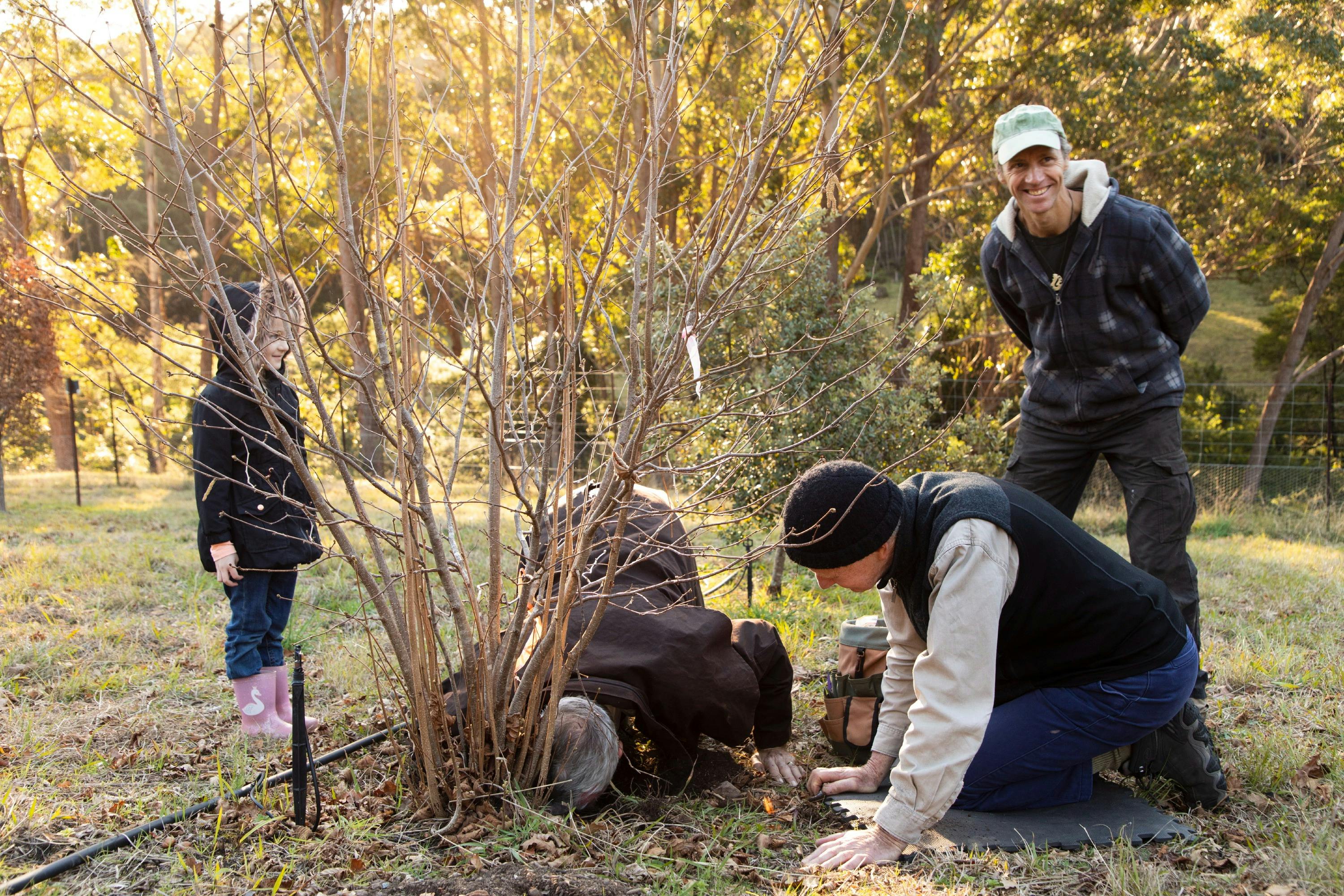 Truffle Hunt - Cobargo