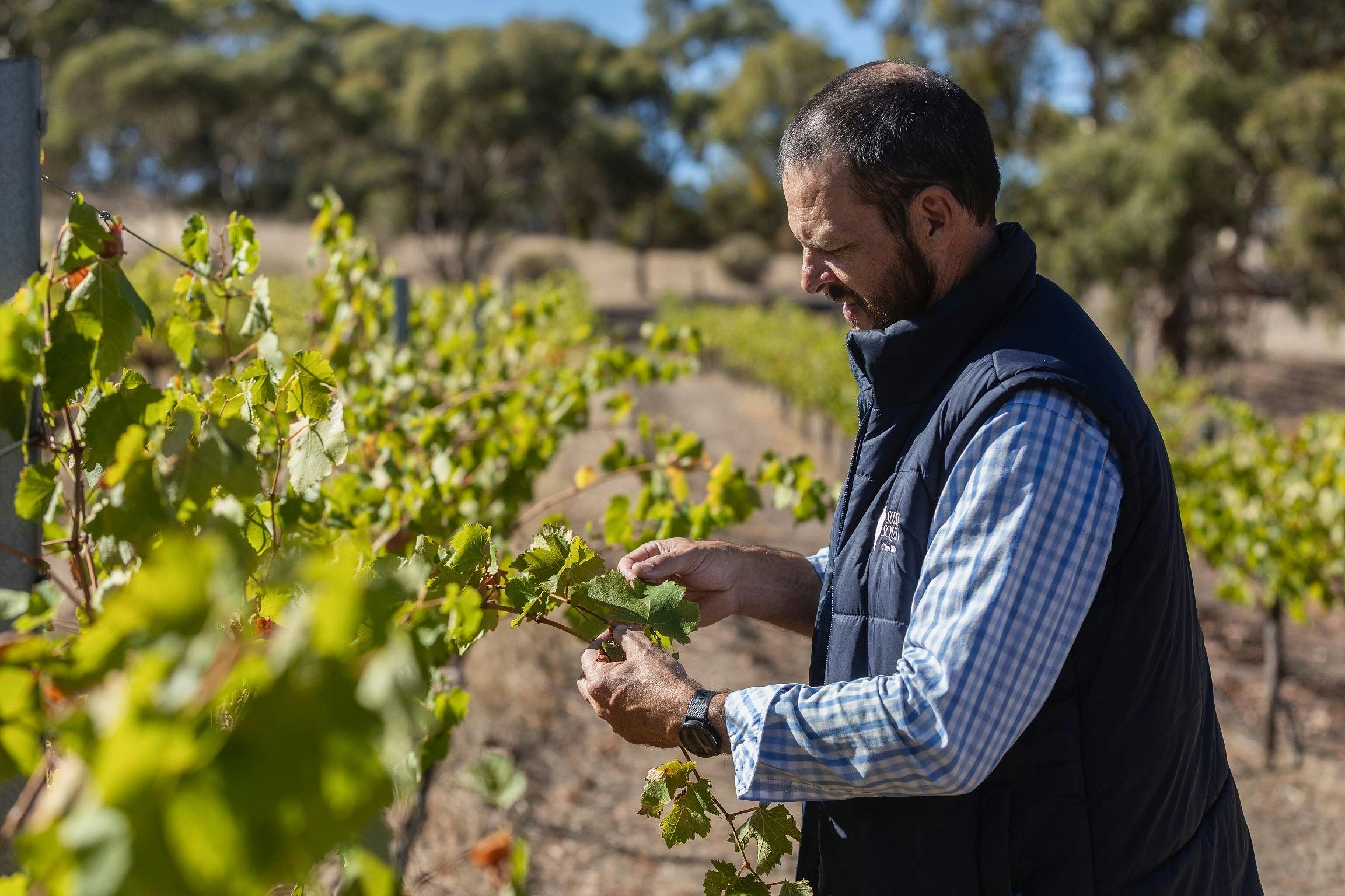 Sussex Squire Wines Cellar Door Experience