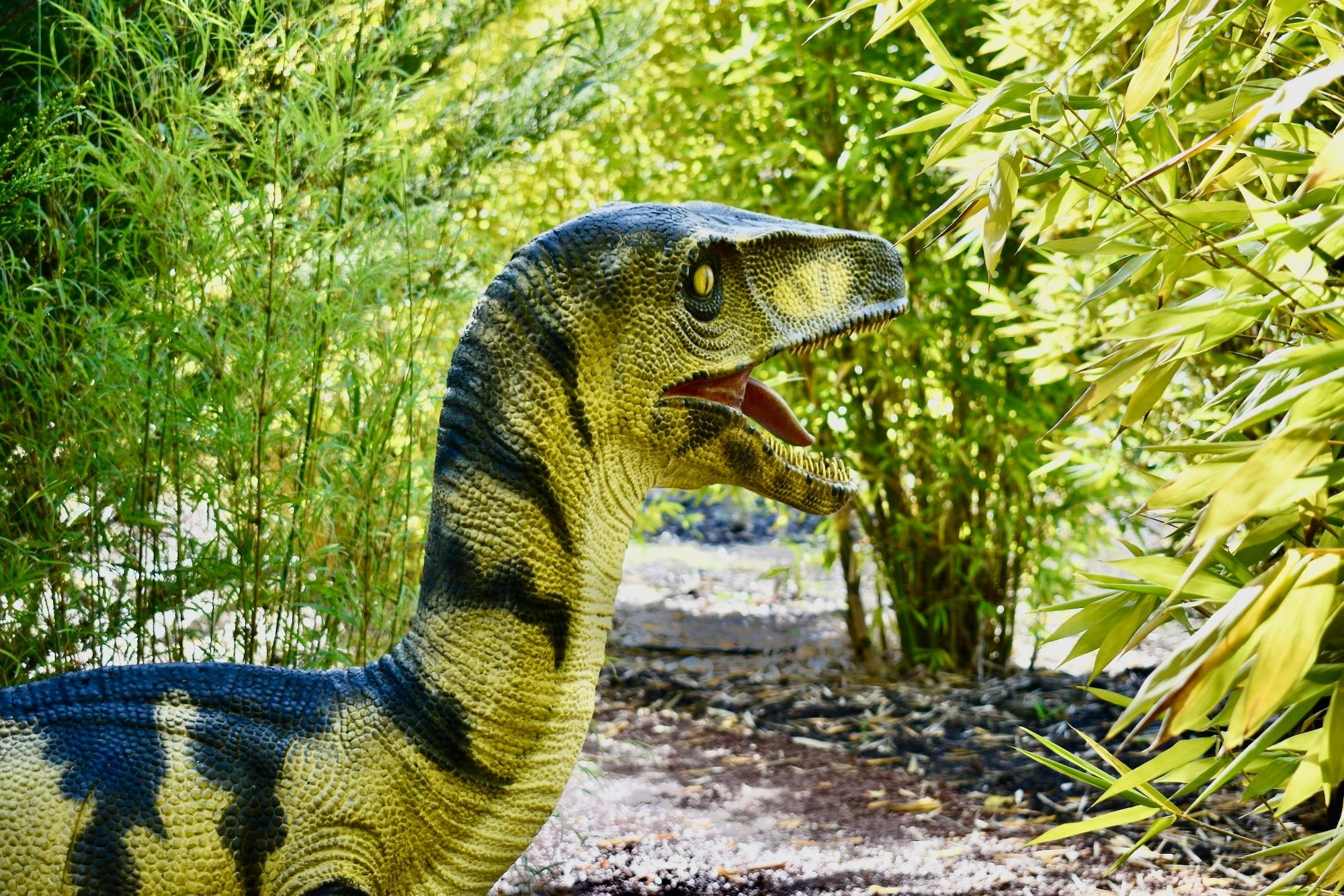 Velociraptors at the Easter Dinosaur Egg Hunt Yarra Valley