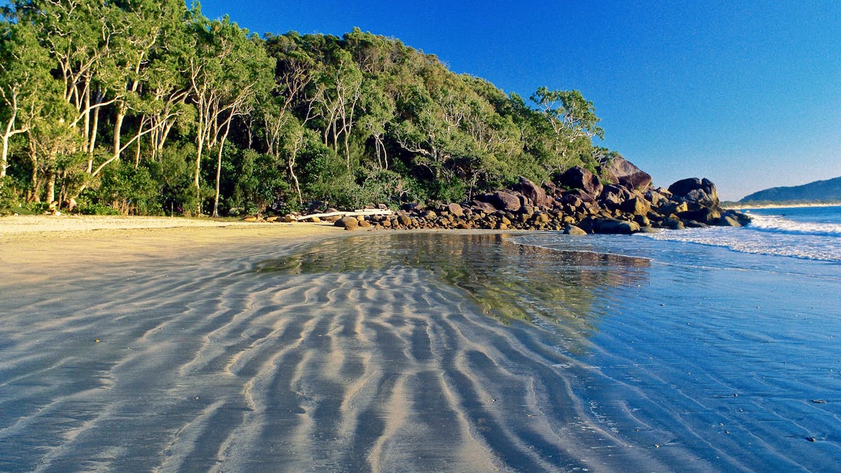 Shallow water covers ripples in the beach sand, with green forested headland in the distance. Shallow water covers ripples in the beach sand, with green forested headland in the distance.