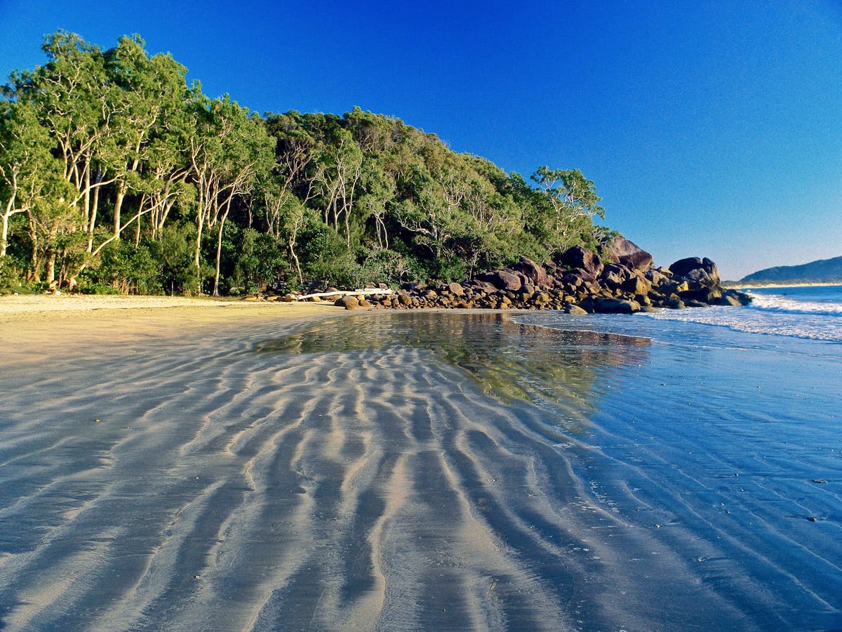 Shallow water covers ripples in the beach sand, with green forested headland in the distance.
