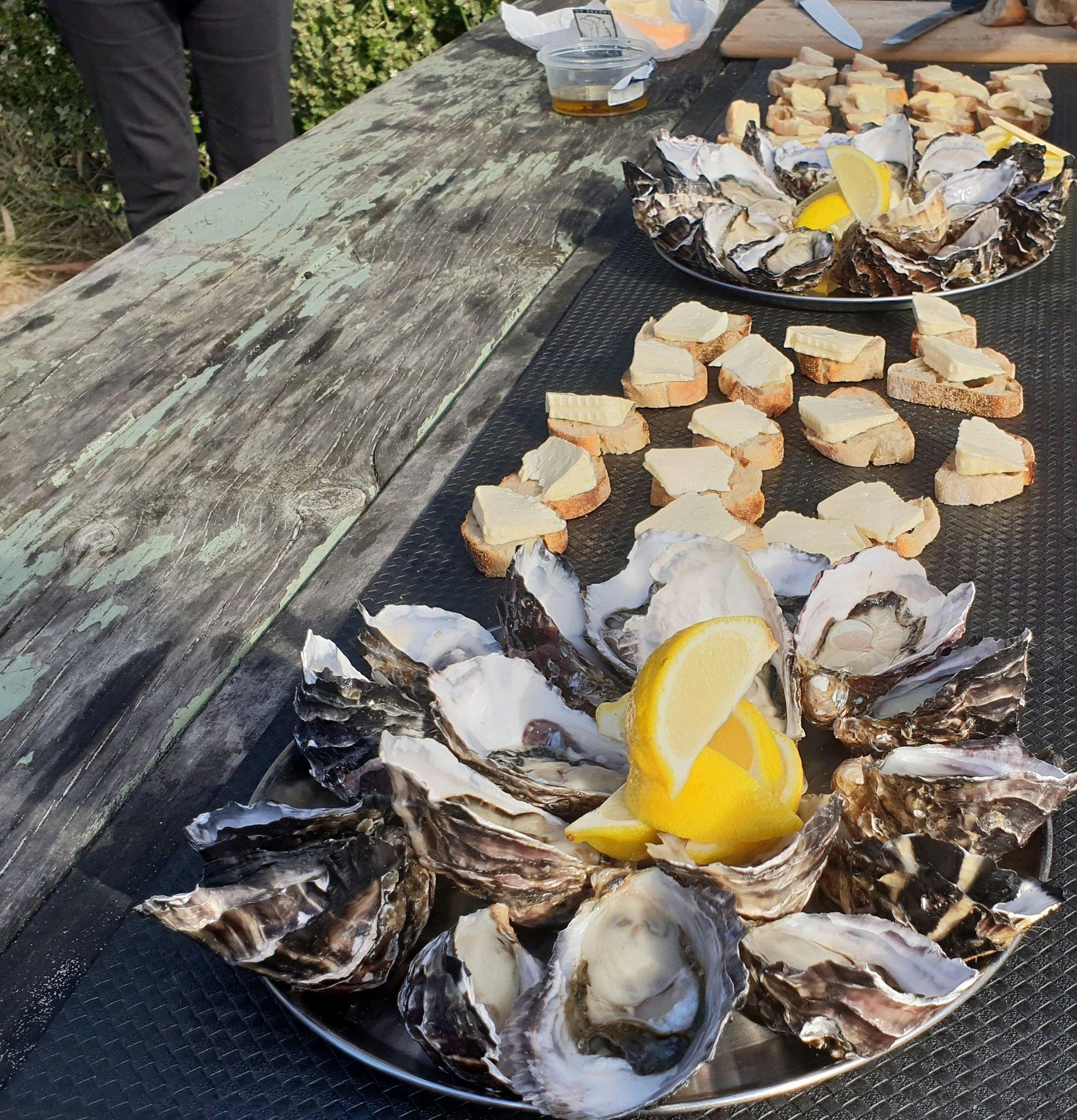 Bruny Island Cheese, Oysters and Wood Fired Oven Bread for morning tea on the beach