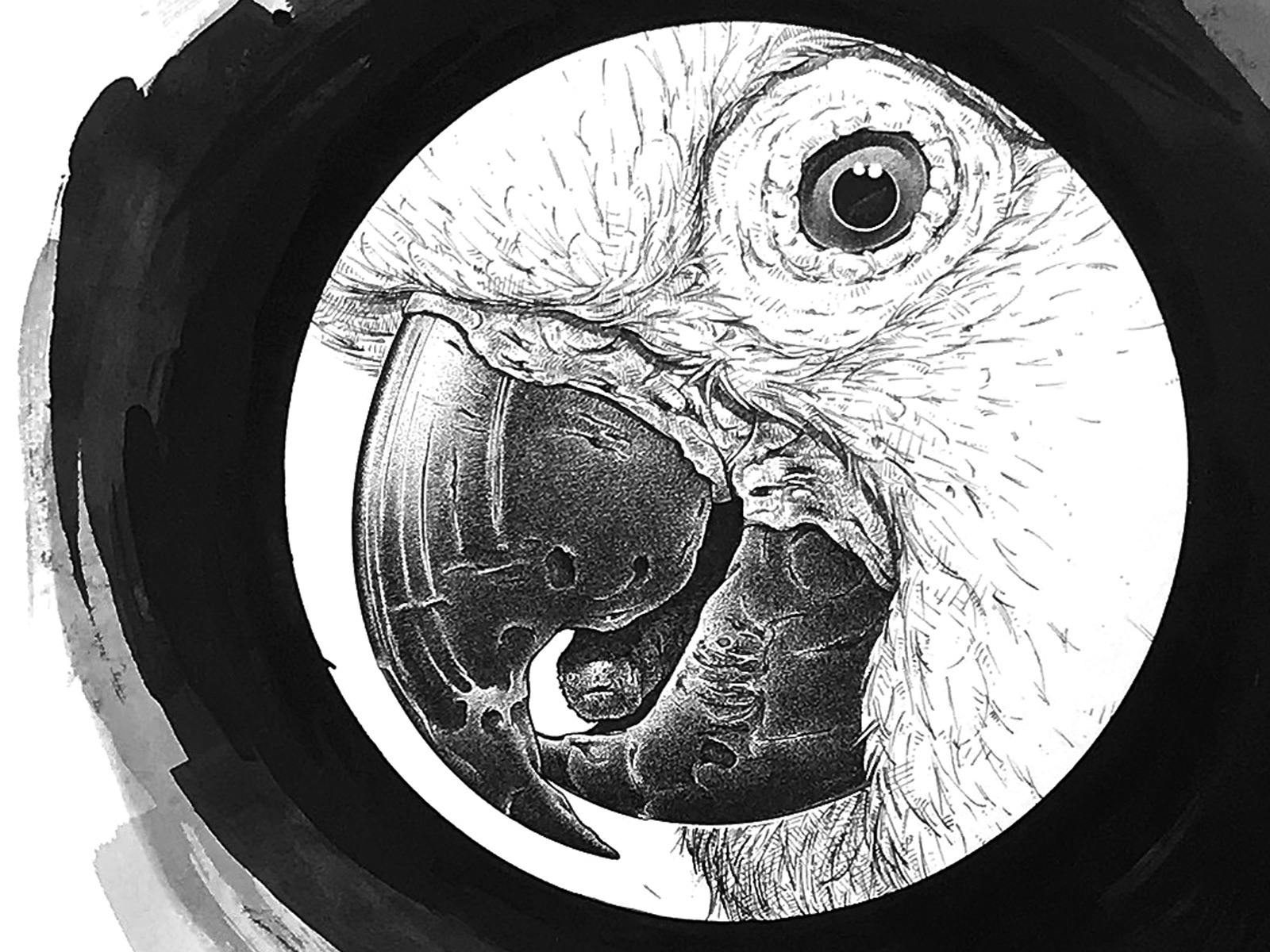 Darren Gilbert pen and ink artwork