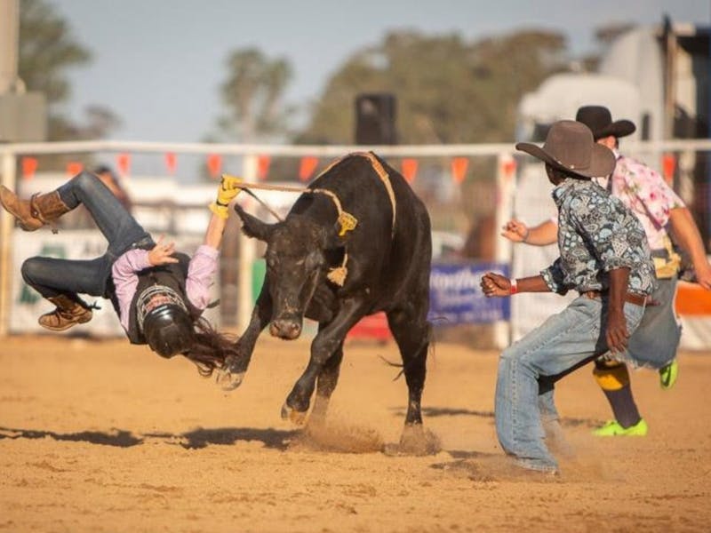 Image for Hay Pro Rodeo