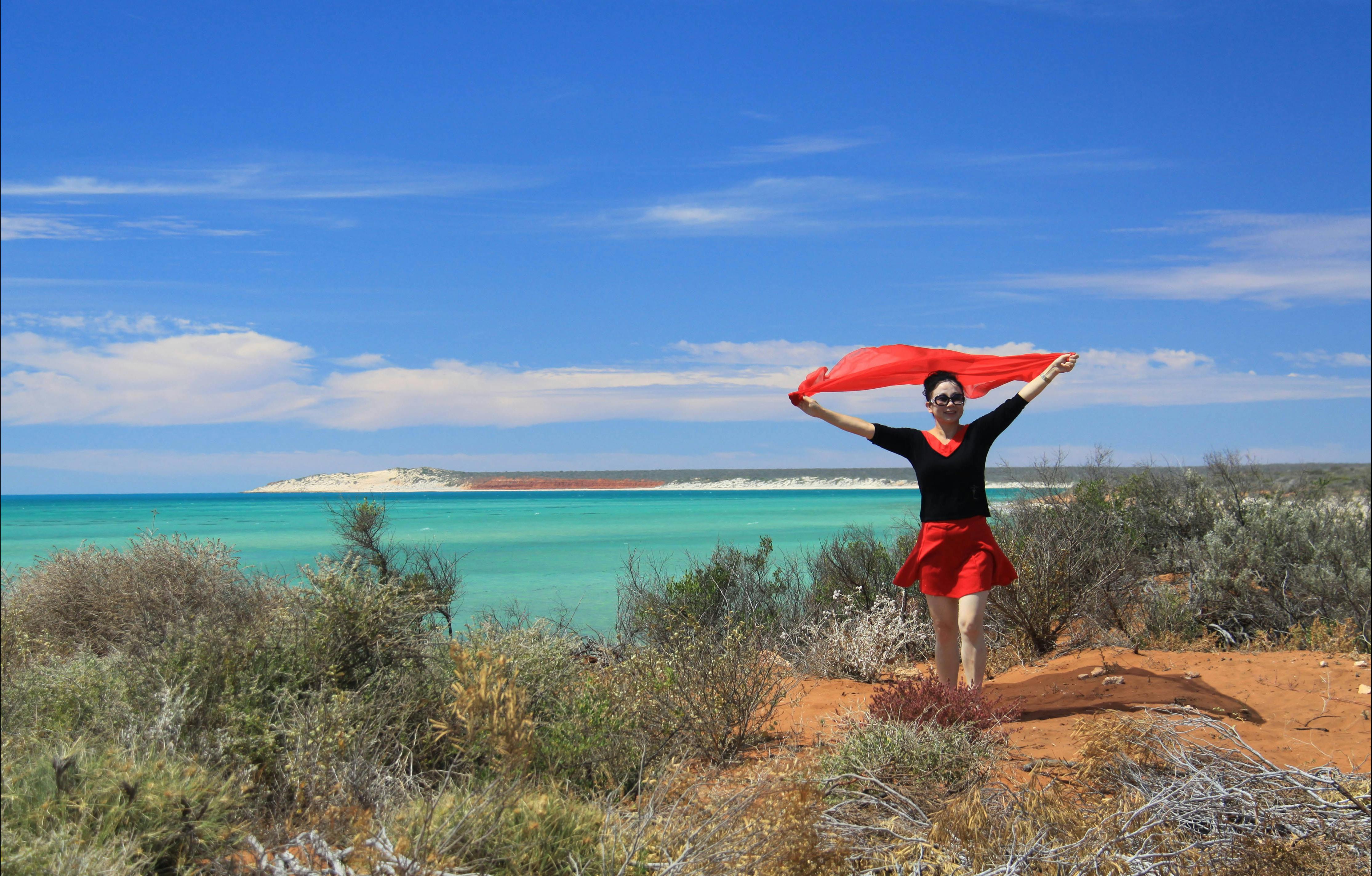 Shark Bay Coastal Tours, Denham, Western Australia