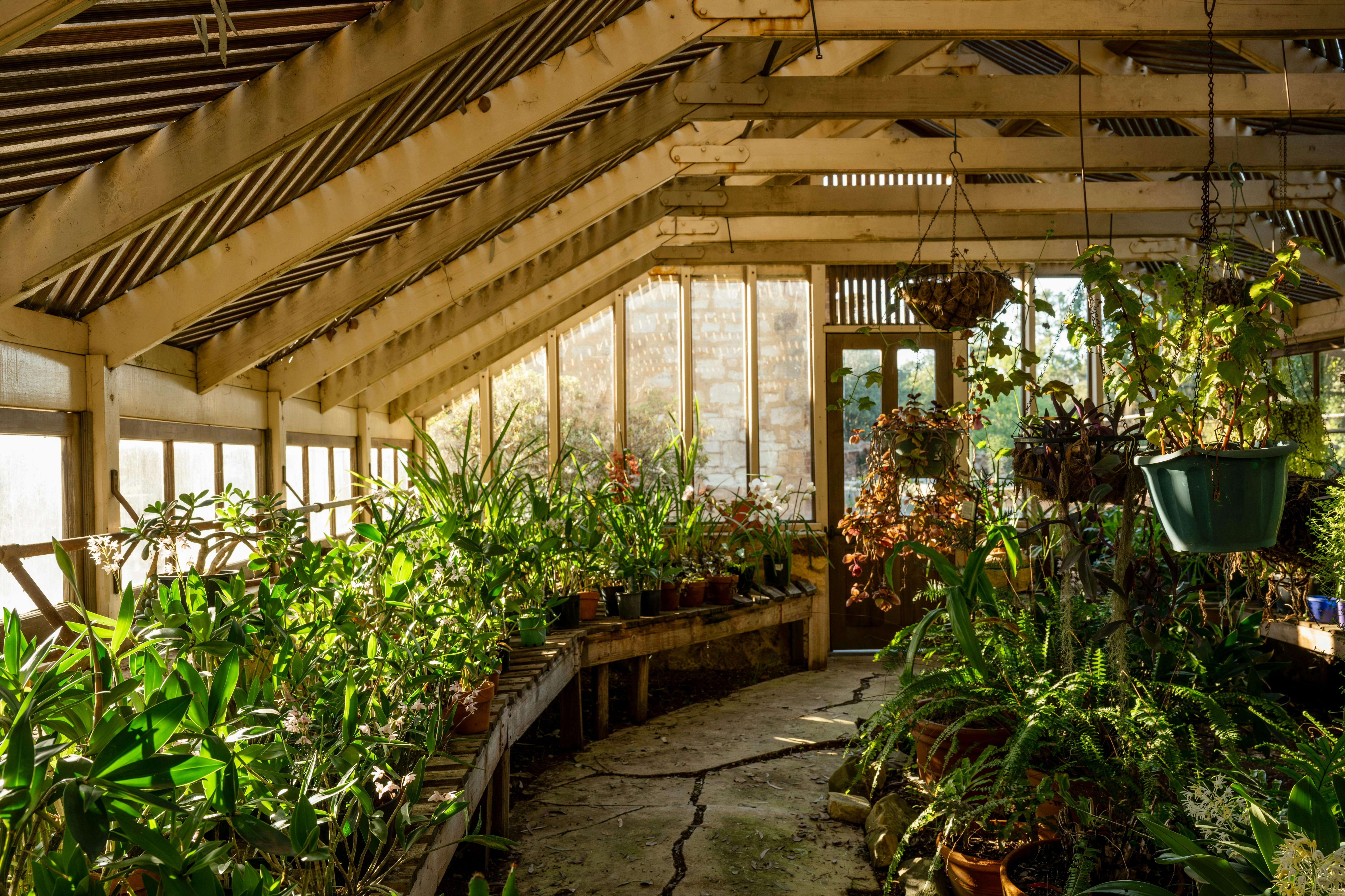 Garden at Anlaby
