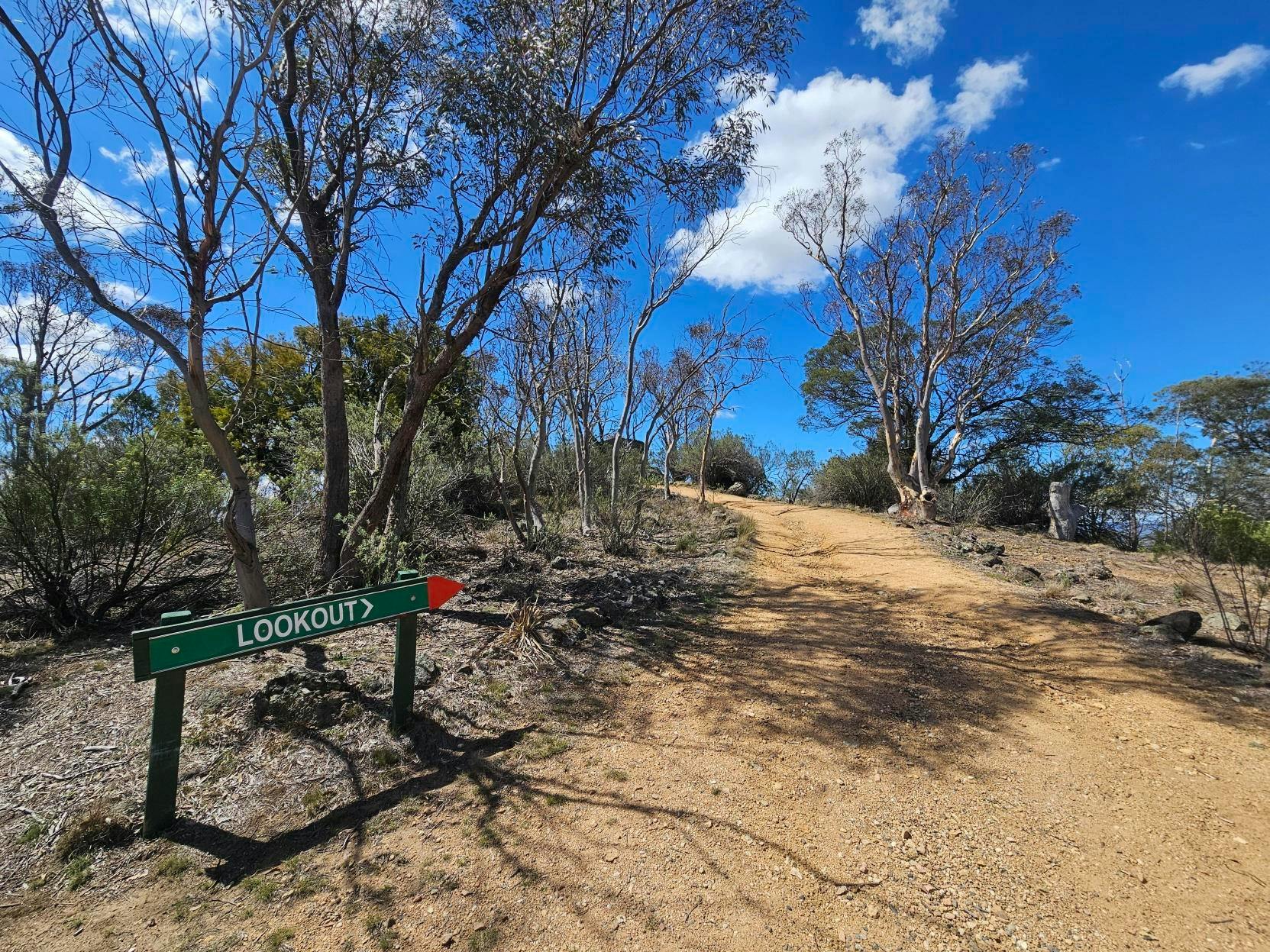 Mt Gladstone Lookout Trail