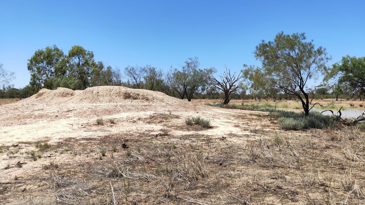 Eulo Mud Springs