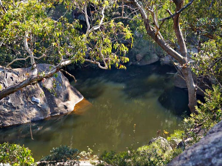 Jellybean Pool, Jellybean track, Blue Mountains National Park. Phone: Steve Alton/NSW Government