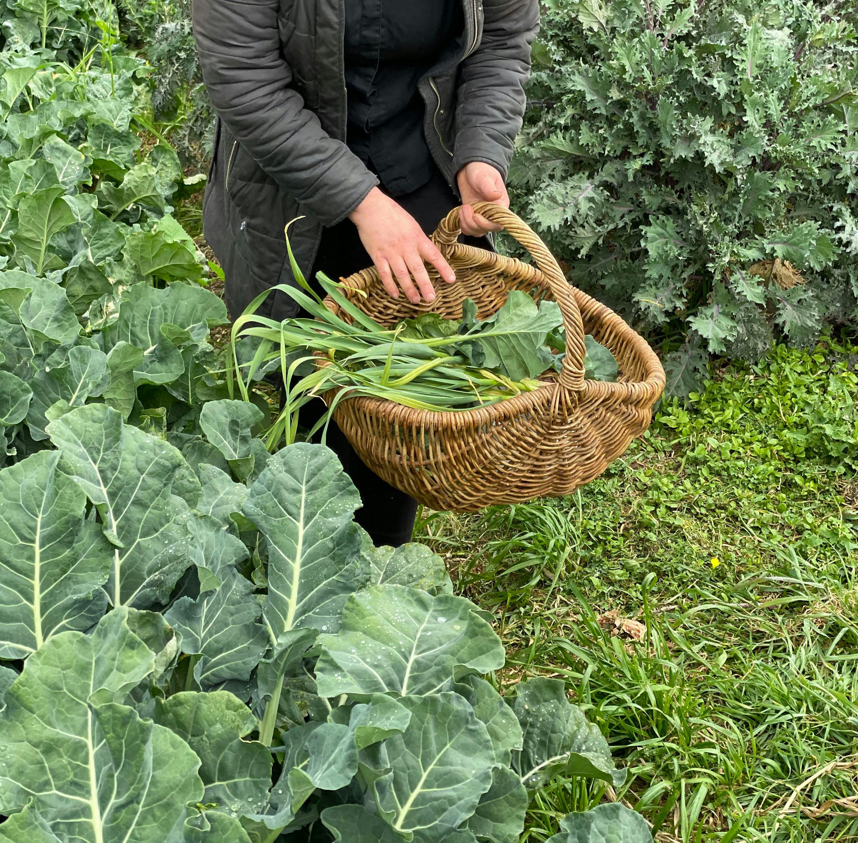 Farm Tour