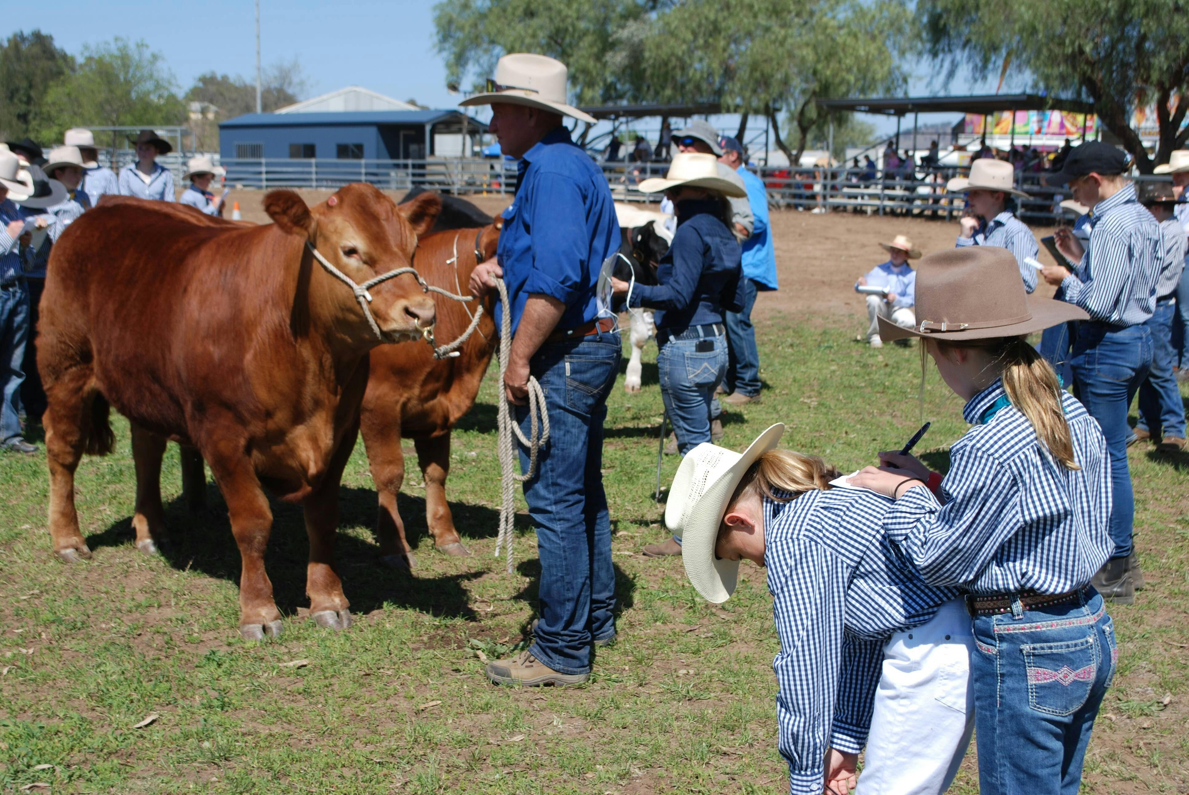 Merriwa Springtime Show