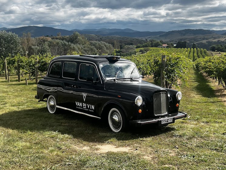 Vintage London black cab in a Canberra vineyard
