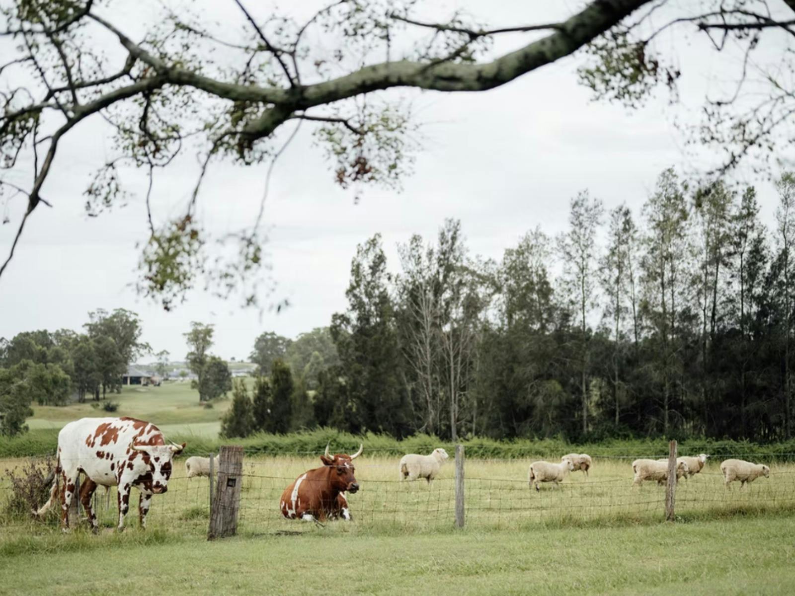 Gledswood Farm