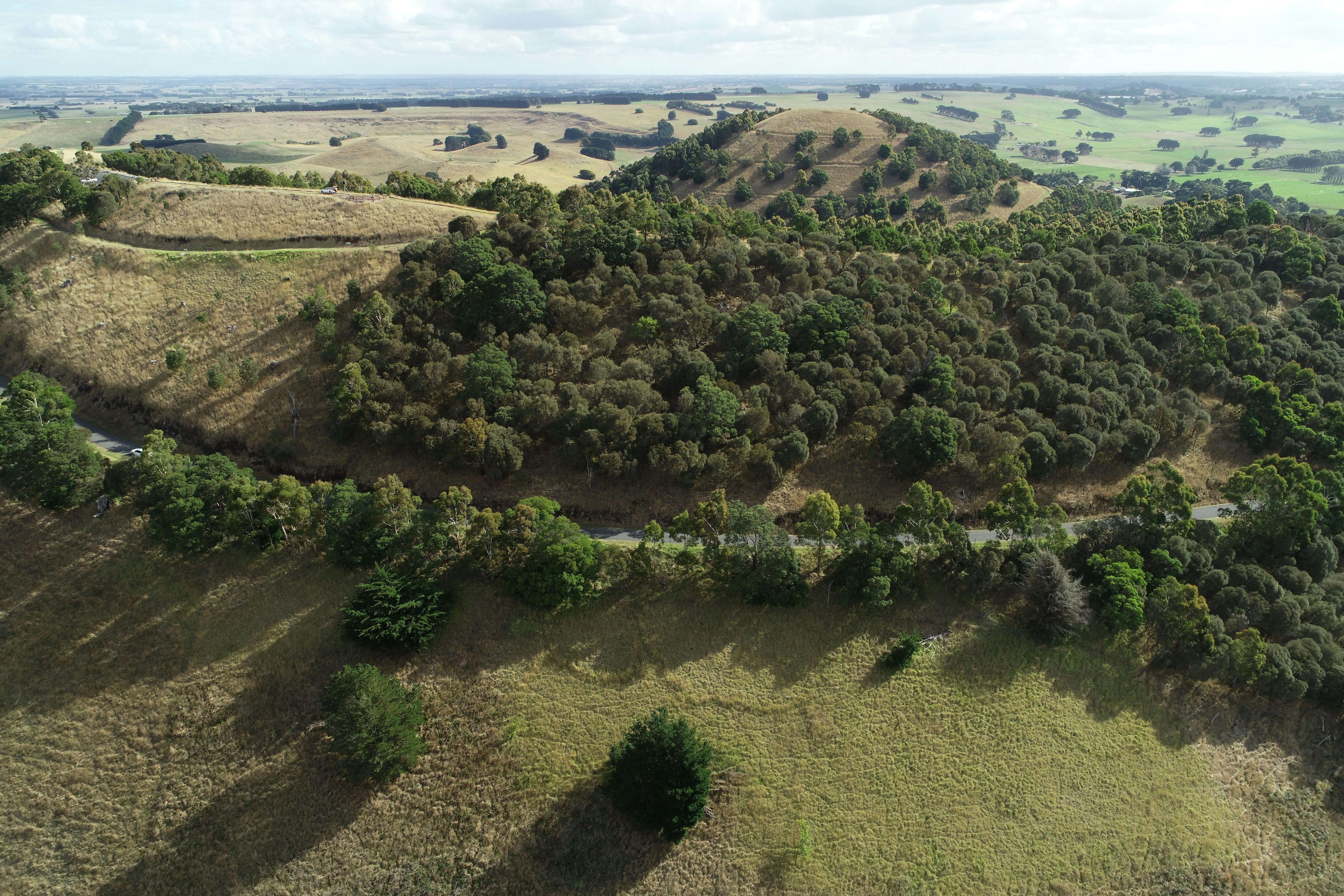 Aerial view of Mt Sugarloaf