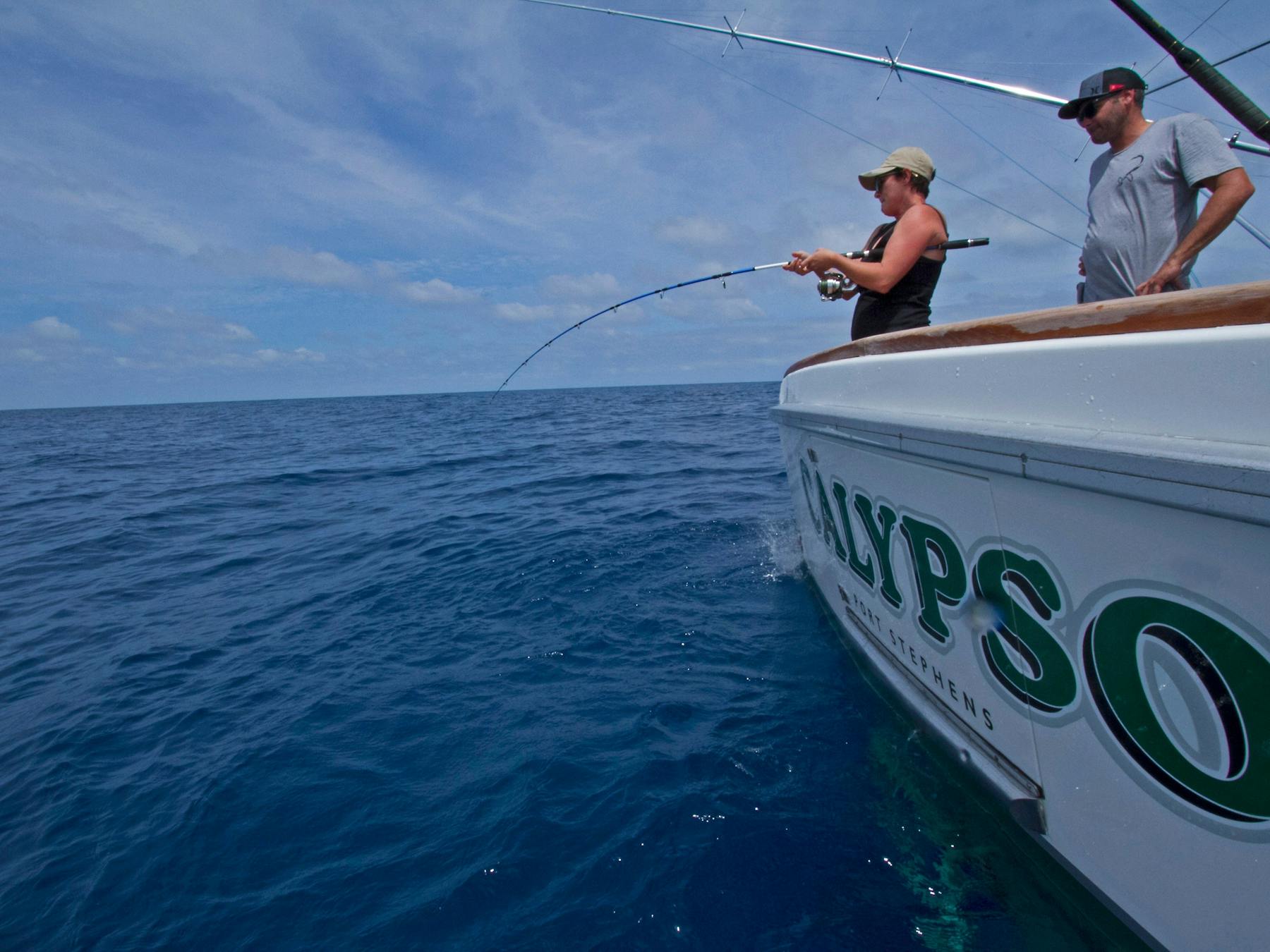 Enjoy a day out with the family; All you need to bring is your sense of adventure.