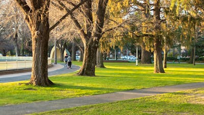 Queanbeyan Town Park Brad Haddin Oval