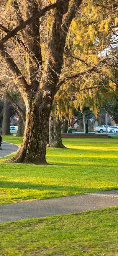 Queanbeyan Town Park Brad Haddin Oval