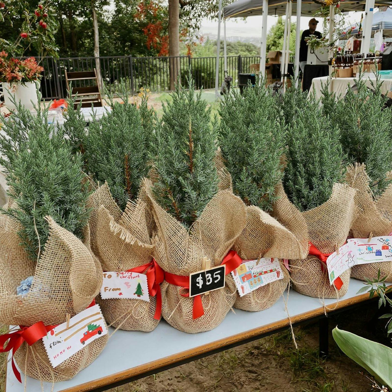 Mount Keira Christmas Markets