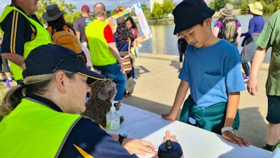 a young boy getting his card stamped